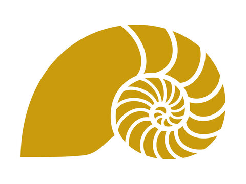 recommend clip art: Golden ratio image, nautilus silhouette
