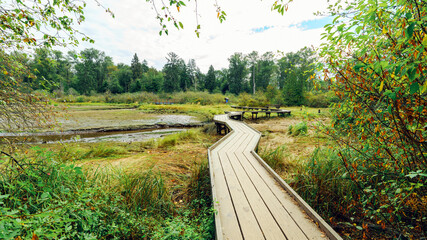 Boardwalk over Burrard Inlet wetlands on Shoreline Trail at Port Moody, BC, on a cloudy late summer day. - obrazy, fototapety, plakaty