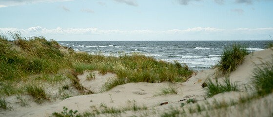 grassy sand dunes on the seashore