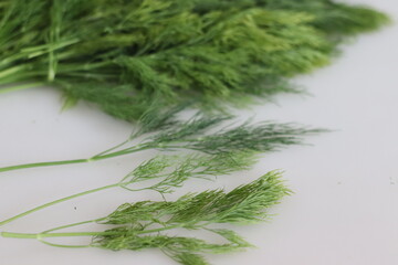 Dill Leaves, also known as Dill weed is a green leafy vegetable that has incredible therapeutic benefits and culinary applications