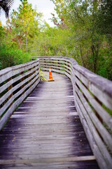 A broken wooden boardwalk for reparation 