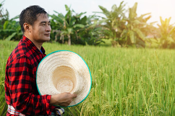 Asian man farmer is at paddy field, feel tired and hot, use hat to fan for relieve hot weather. 