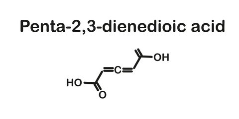Chemical formula penta-2,3-dienedioic acid. Vector illustration