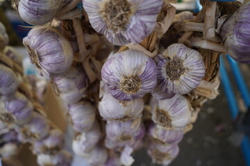Fresh garlic on sale at the open market.