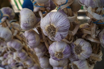 Fresh garlic on sale at the open market.