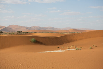 Fototapeta na wymiar Desert Landscape Sossusvlei Namibia