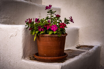 Die Gassen von Naoussa