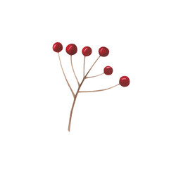 Christmas decoration branch with red berries isolated on white. Watercolor hand drawn Xmas illustration. Art for card