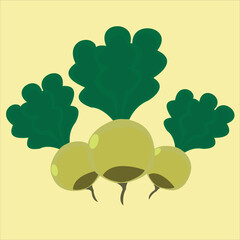 root crops. Plants that show root structure below the soil surface