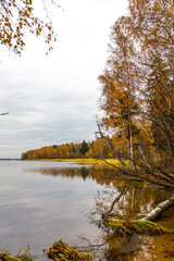 Lake shore in autumn