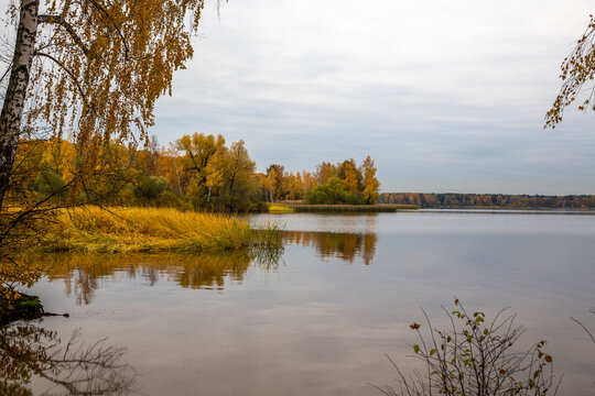 Lake shore in autumn