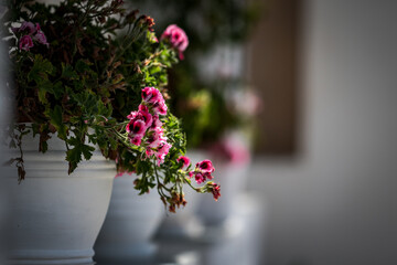 Die Gassen von Naoussa