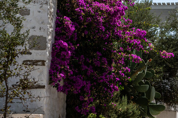 Die Gassen von Naoussa