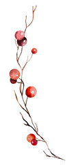 Christmas watercolor twig with red berries isolated Illustration. Hand drawn winter party design