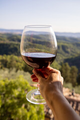Woman holding a glass of red wine with beautiful landscape of Italy in a background on a sunny day....