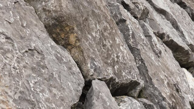 Stone boulder wall made of natural rock. Rough surface close up