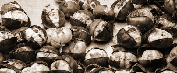 Freshly Roasted Chestnuts Vendor cart in Istanbul, Turkey. Selective Focus. Sepia