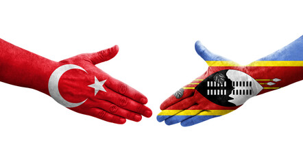 Handshake between Eswatini and Turkey flags painted on hands, isolated transparent image.