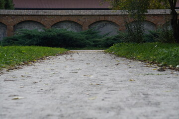 ścieżka © Piotr