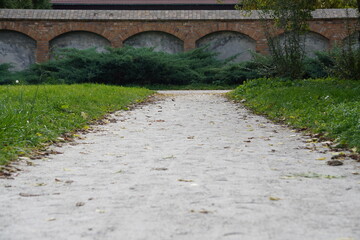 ścieżka © Piotr