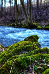 moss covered rocks