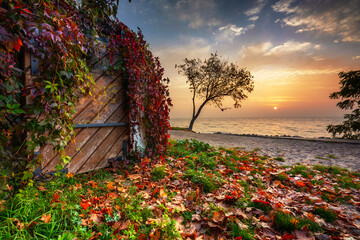 Beautiful autumnal sunrise by the Baltic Sea beach in Gdynia Orlowo, Poland