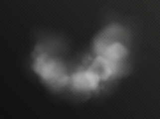 Fog or smoke isolated on transparent background. Realistic smog, haze, mist or cloudiness effect. Vector illustration.