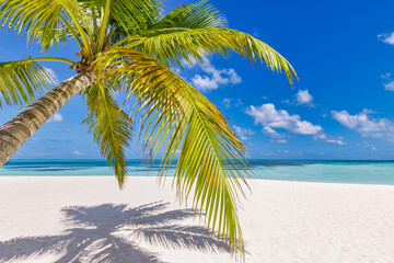 Plakat Tropical beach shore panorama as summer relax landscape and palm tree leaves over white sand blue sea sky beach banner. Amazing vacation summer holiday. Wellbeing happy travel freedom carefree concept