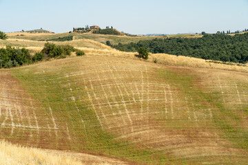 Italy 2022 - Toscania © Daniel