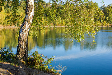 National Park Maasduinen in the Netherlands