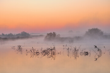 misty morning mist