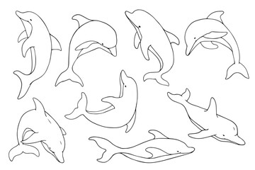 Set of linear sketches of aquatic mammals dolphins.Vector graphics.