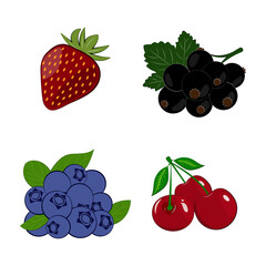 set of elements of berries