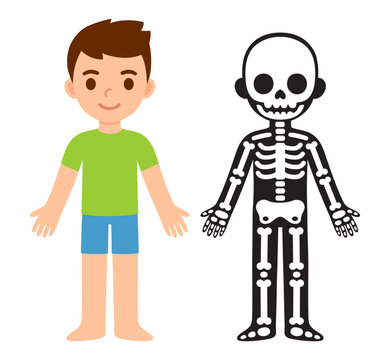Cartoon boy skeleton