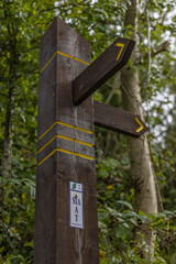 International Appalachian Trail Waymarker, Chaines Wood, Carnfunnock country park, Mid and East Antrim, Northern Ireland