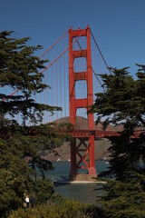 YPOFrisco071