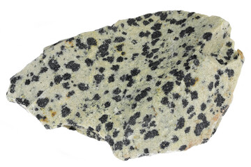 dalmatian jasper from Brazil isolated on white background