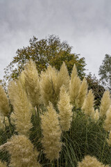Slieve Donard and The Mourne Wall with hiking stile, Mourne mountains, Bloody bridge, Newcastle,...