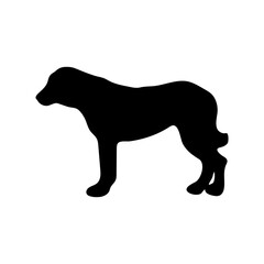 Central Asian Shepherd Dog. Black silhouette of a dog on a white background. Vector illustration