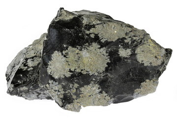 snowflake obsidian from Mexico isolated on white background