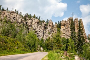 Forest trees and cliffs on Needles Highway in Custer State Park, Black Hills, South Dakota