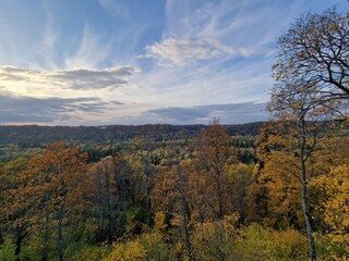 Panoramic aerial view of Gauja national park, autumn colors in Sigulda, Latvia autumn landscape, Europe