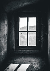 Fototapeta na wymiar window in a old abandoned house