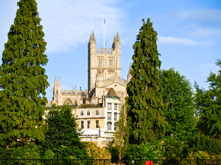 Bath Abbey between tall green trees in urban landscape