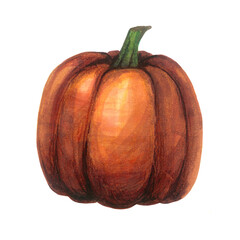 Pumpkin sketch marker illustration. Hand drawn pumpkin isolated on white background. Element for halloween design