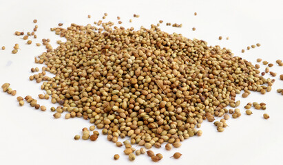 Coriander seeds isolated on white background