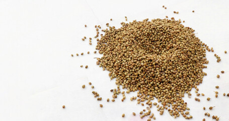Coriander seeds isolated on white background