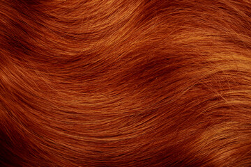 Red hair close-up as a background. Women's long orange hair. Beautifully styled wavy shiny curls....