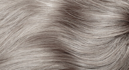 Blond hair close-up as a background. Women's long blonde hair. Beautifully styled wavy shiny curls....