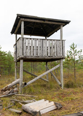 an old wooden lookout tower at the edge of a marsh, marsh vegetation in autumn